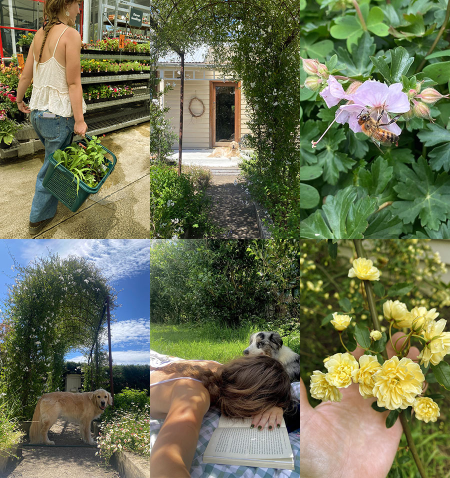 Ayla Buckley, Wild Roots Gardener