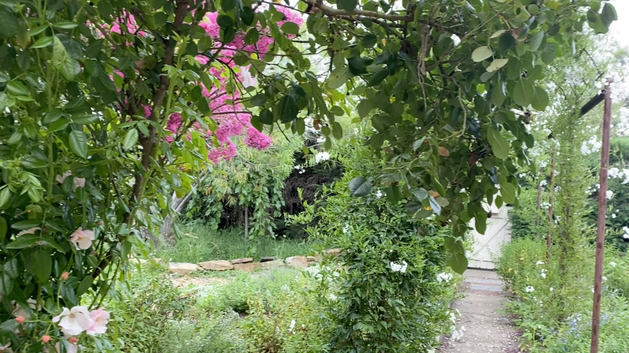 Wild Roots home